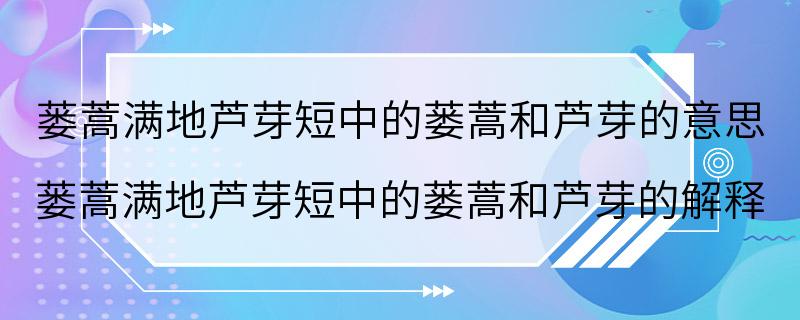 蒌蒿满地芦芽短中的蒌蒿和芦芽的意思 蒌蒿满地芦芽短中的蒌蒿和芦芽的解释