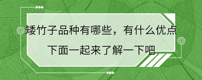 矮竹子品种有哪些，有什么优点 下面一起来了解一下吧