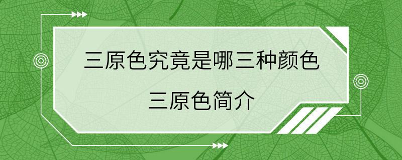 三原色究竟是哪三种颜色 三原色简介