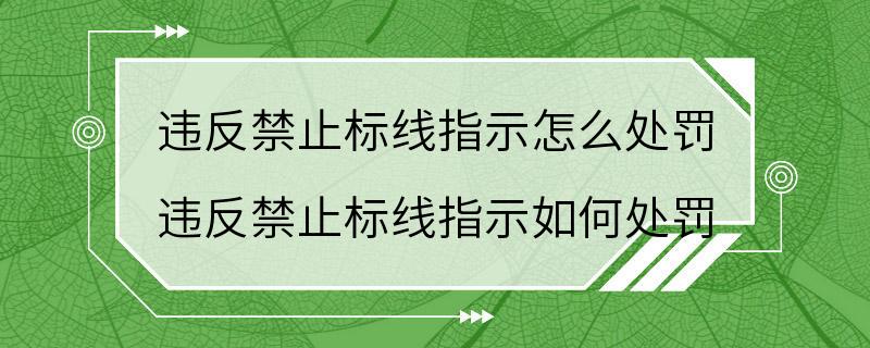 违反禁止标线指示怎么处罚 违反禁止标线指示如何处罚