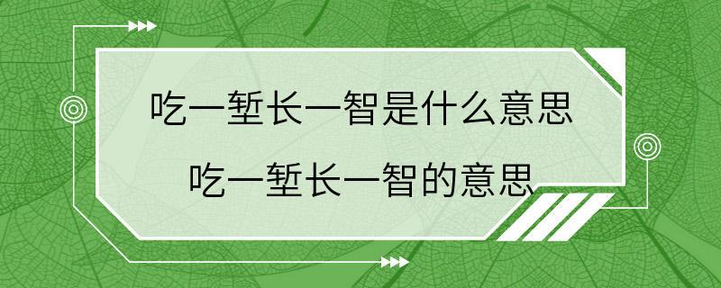 吃一堑长一智是什么意思 吃一堑长一智的意思