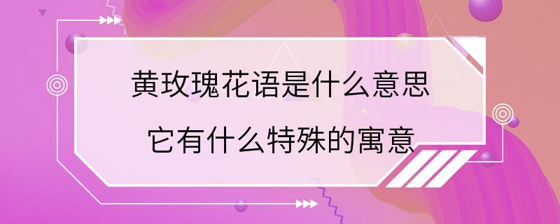 黄玫瑰花语是什么意思 它有什么特殊的寓意