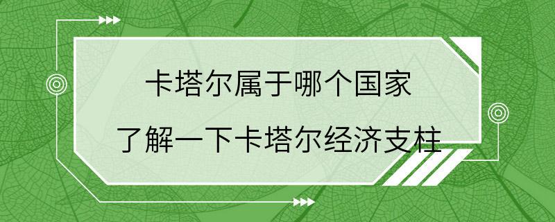 卡塔尔属于哪个国家 了解一下卡塔尔经济支柱