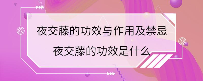 夜交藤的功效与作用及禁忌 夜交藤的功效是什么