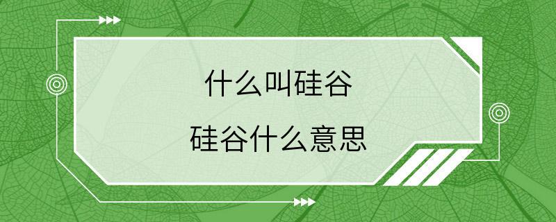 什么叫硅谷 硅谷什么意思