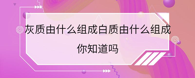 灰质由什么组成白质由什么组成 你知道吗