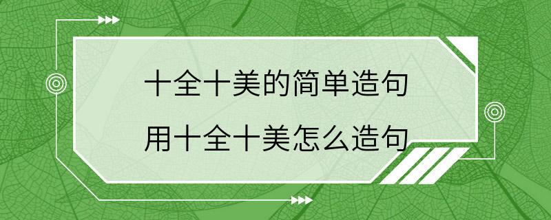 十全十美的简单造句 用十全十美怎么造句