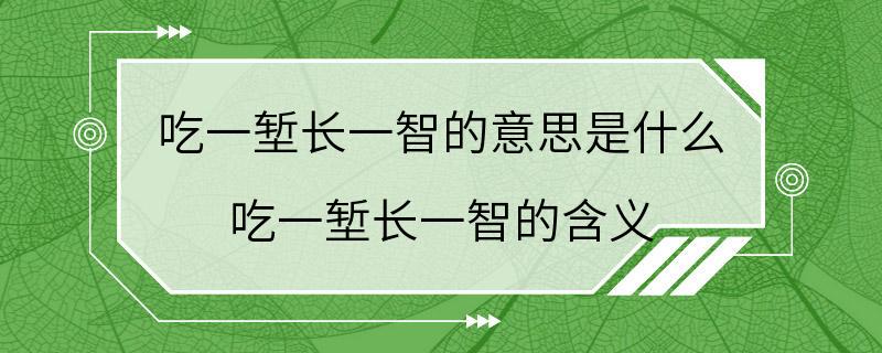 吃一堑长一智的意思是什么 吃一堑长一智的含义