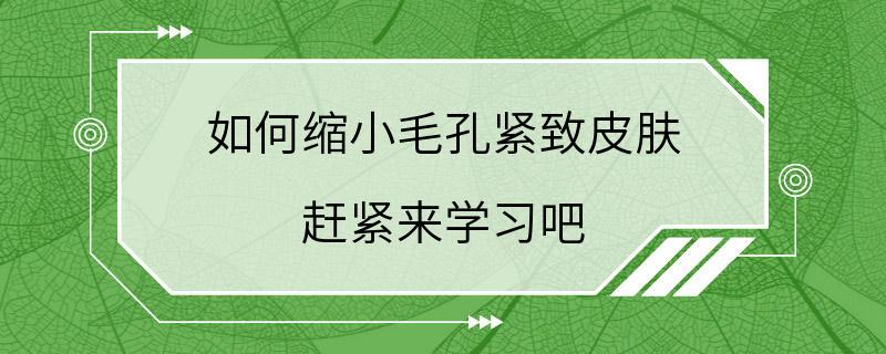 如何缩小毛孔紧致皮肤 赶紧来学习吧