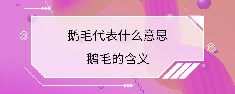 鹅毛代表什么意思 鹅毛的含义