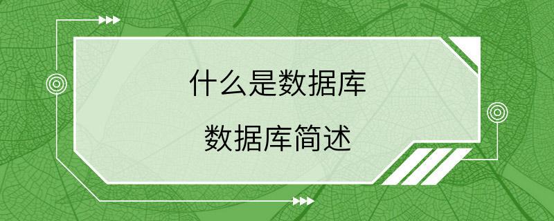 什么是数据库 数据库简述