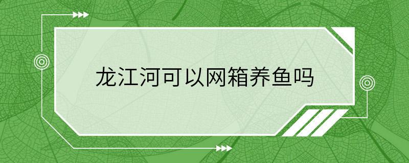 龙江河可以网箱养鱼吗