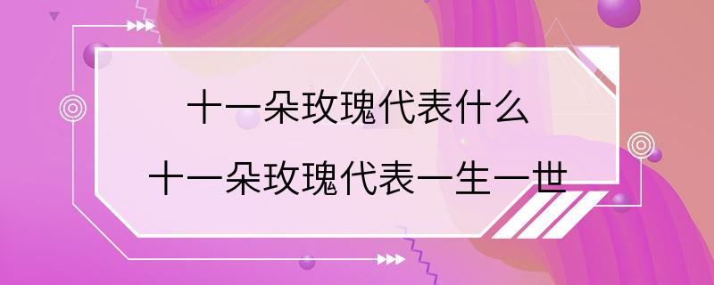 十一朵玫瑰代表什么 十一朵玫瑰代表一生一世