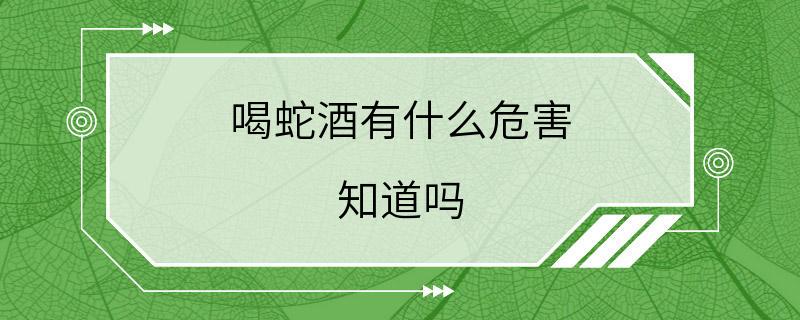 喝蛇酒有什么危害 知道吗