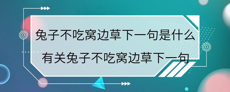 兔子不吃窝边草下一句是什么 有关兔子不吃窝边草下一句