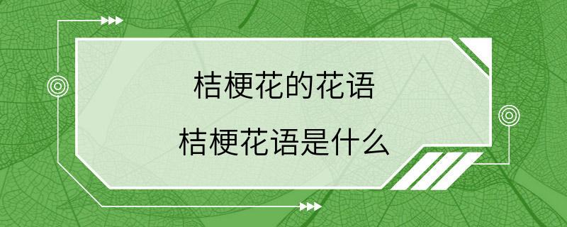 桔梗花的花语 桔梗花语是什么