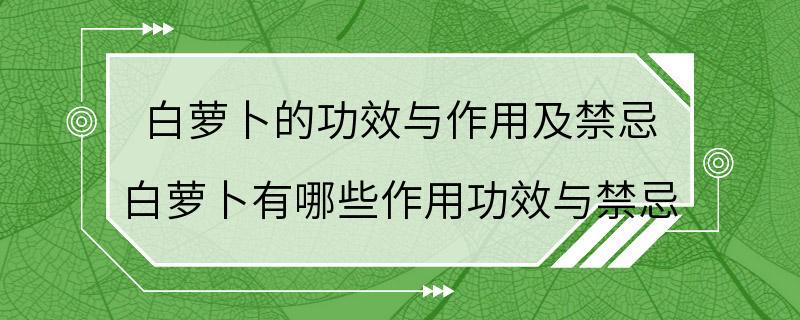 白萝卜的功效与作用及禁忌 白萝卜有哪些作用功效与禁忌