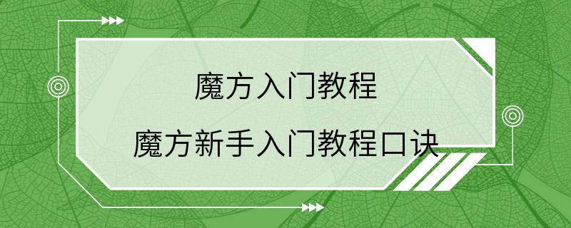 魔方入门教程 魔方新手入门教程口诀