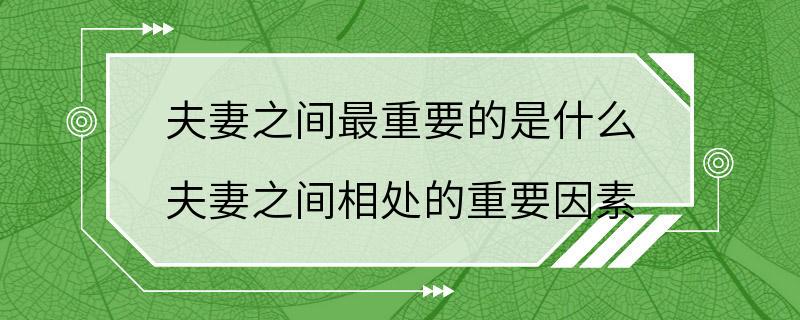 夫妻之间最重要的是什么 夫妻之间相处的重要因素