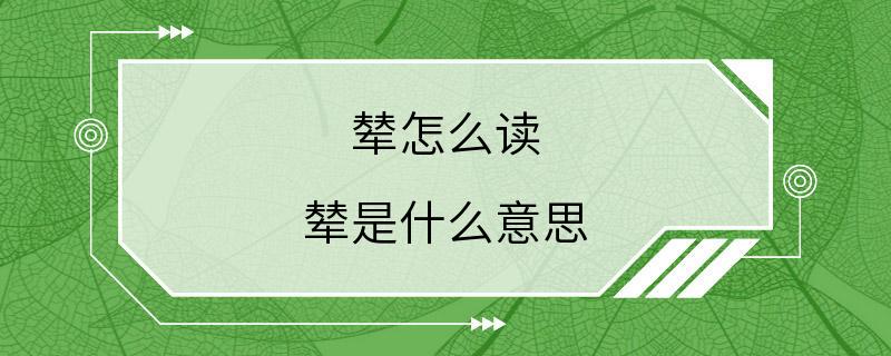 辇怎么读 辇是什么意思