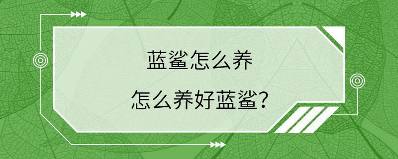 蓝鲨怎么养 怎么养好蓝鲨？