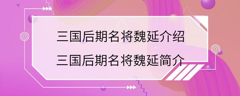 三国后期名将魏延介绍 三国后期名将魏延简介