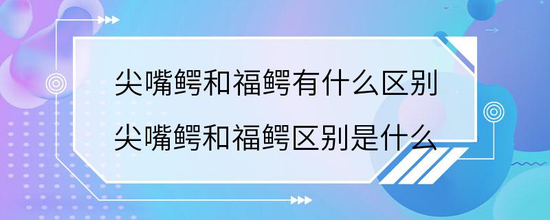 尖嘴鳄和福鳄有什么区别 尖嘴鳄和福鳄区别是什么