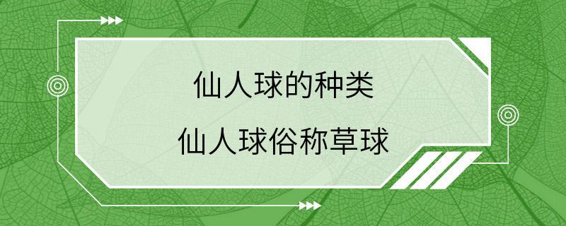 仙人球的种类 仙人球俗称草球