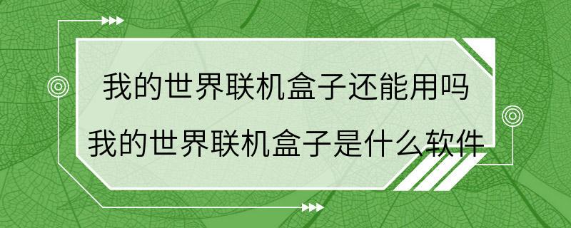 我的世界联机盒子还能用吗 我的世界联机盒子是什么软件