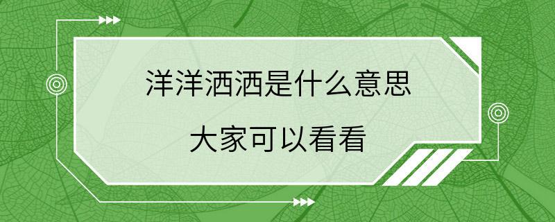 洋洋洒洒是什么意思 大家可以看看