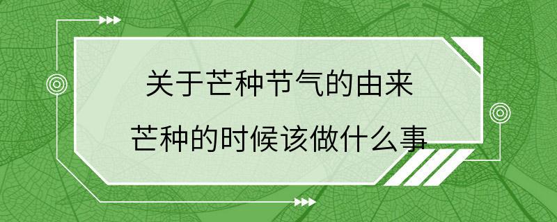 关于芒种节气的由来 芒种的时候该做什么事