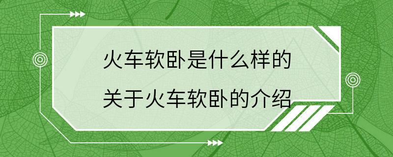 火车软卧是什么样的 关于火车软卧的介绍