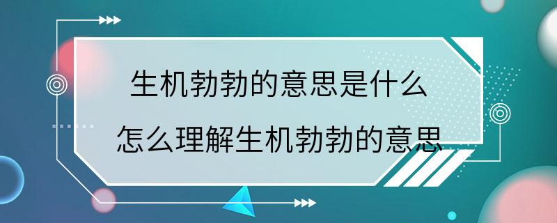 生机勃勃的意思是什么 怎么理解生机勃勃的意思