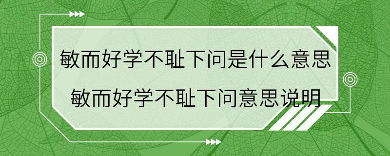 敏而好学不耻下问是什么意思 敏而好学不耻下问意思说明