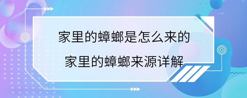 家里的蟑螂是怎么来的 家里的蟑螂来源详解