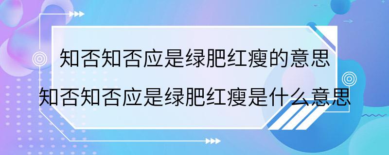 知否知否应是绿肥红瘦的意思 知否知否应是绿肥红瘦是什么意思