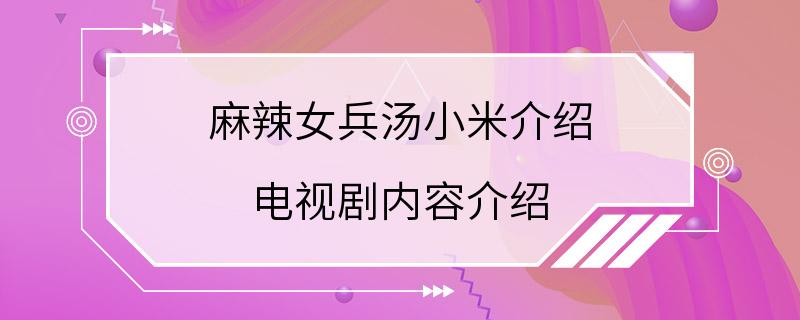 麻辣女兵汤小米介绍 电视剧内容介绍