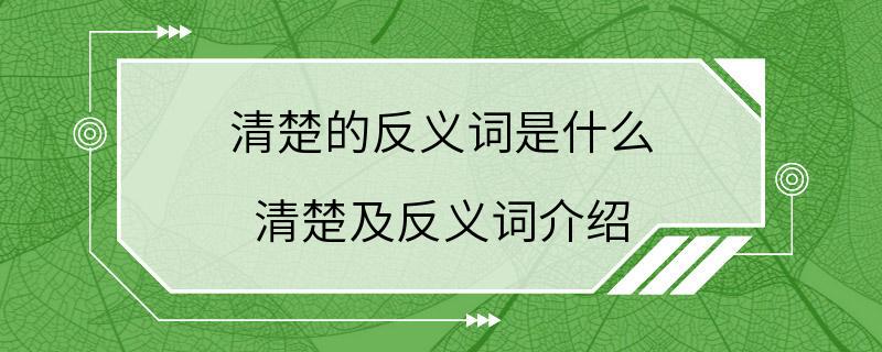 清楚的反义词是什么 清楚及反义词介绍