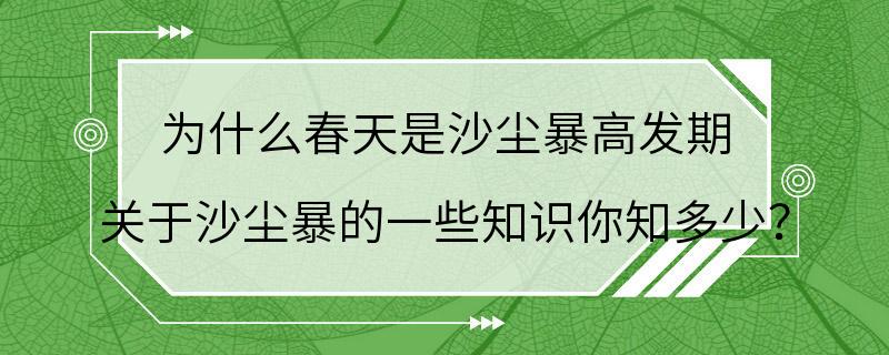 为什么春天是沙尘暴高发期 关于沙尘暴的一些知识你知多少？