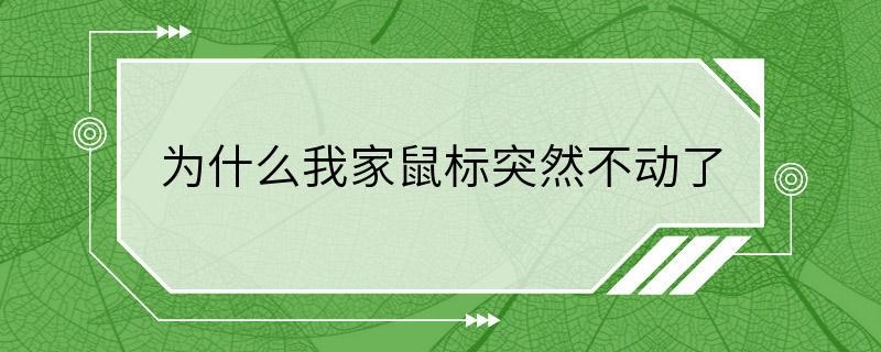 为什么我家鼠标突然不动了