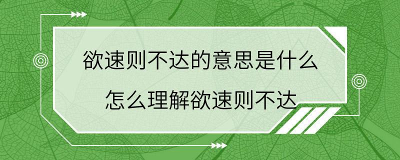 欲速则不达的意思是什么 怎么理解欲速则不达