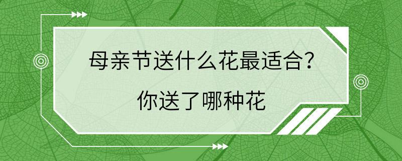 母亲节送什么花最适合？ 你送了哪种花