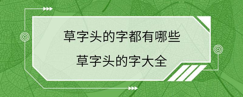 草字头的字都有哪些 草字头的字大全