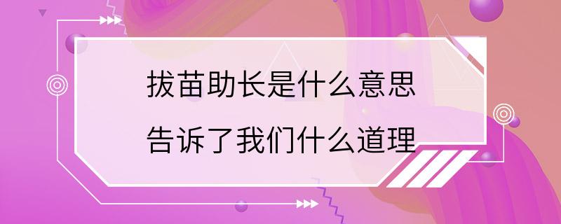 拔苗助长是什么意思 告诉了我们什么道理