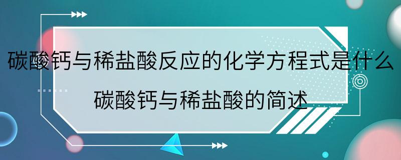 碳酸钙与稀盐酸反应的化学方程式是什么 碳酸钙与稀盐酸的简述