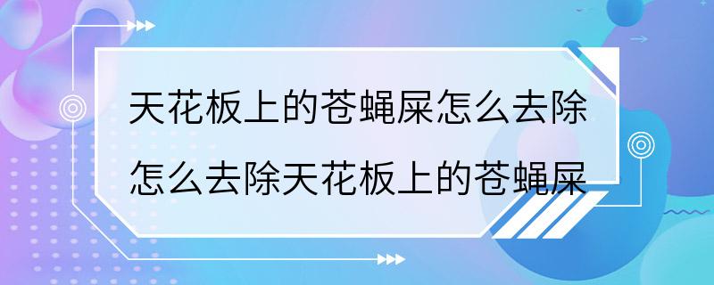 天花板上的苍蝇屎怎么去除 怎么去除天花板上的苍蝇屎