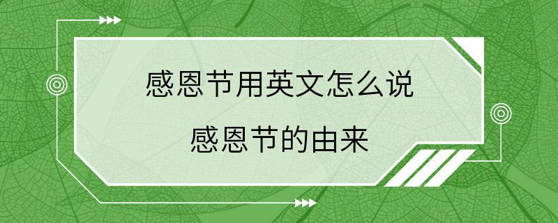 感恩节用英文怎么说 感恩节的由来