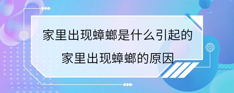 家里出现蟑螂是什么引起的 家里出现蟑螂的原因