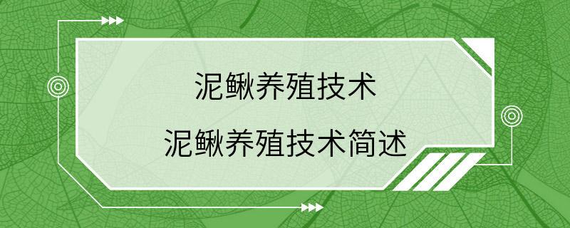 泥鳅养殖技术 泥鳅养殖技术简述