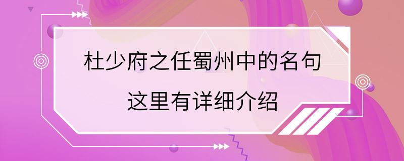 杜少府之任蜀州中的名句 这里有详细介绍